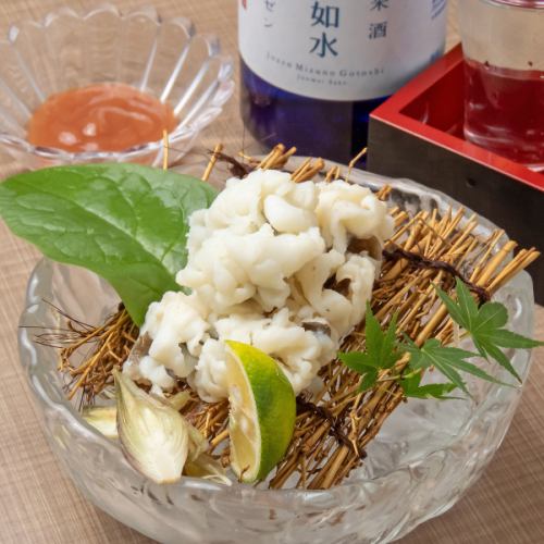 星鰻滴