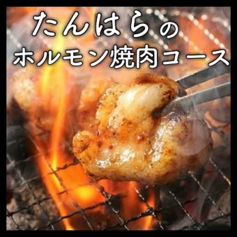 ホルモン焼肉コース