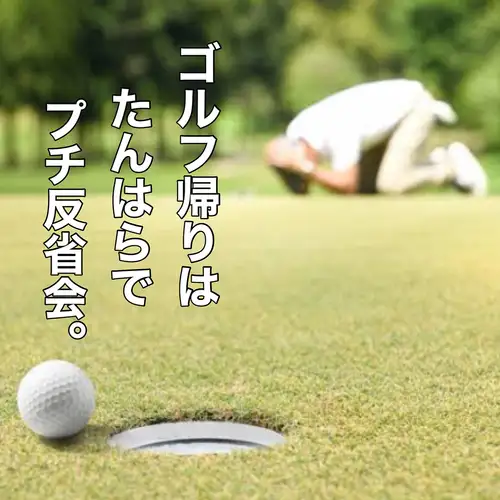 充実したコース料理