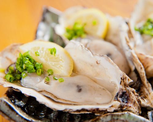 Fresh oysters delivered directly from Akkeshi fishermen