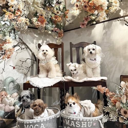 フォトスポットで記念撮影