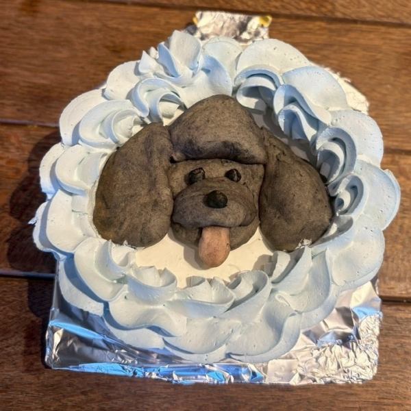 【愛犬の記念日に♪】ワンちゃんのバースデーケーキもございます！