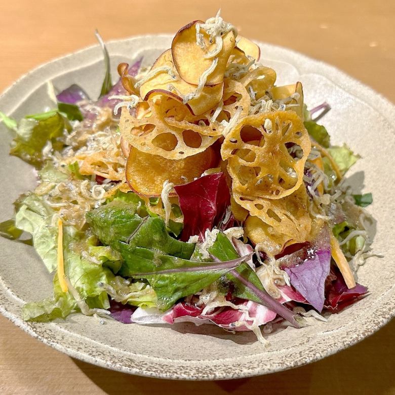 Kaga vegetable salad with small sardines and vegetable chips