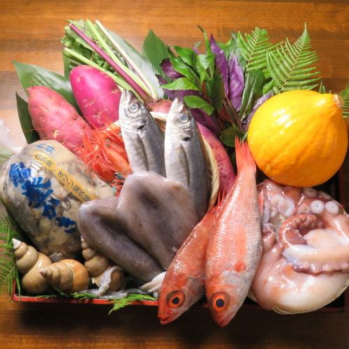 생선회! 도구로! 산지 직송 생선은 신선하고 맛있다 ♪