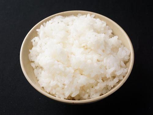 Rice (medium / large)