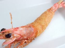 Prawn