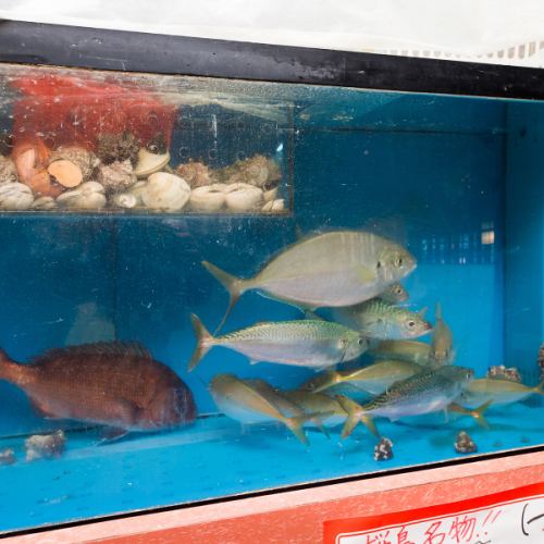 旬のお魚を新鮮な状態でご提供します◎