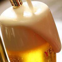 We offer an all-you-can-drink option that includes draft beer! Recommended for all kinds of parties!