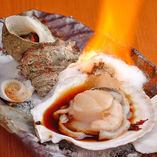Grilled scallops in soy sauce / 1 grilled turban shell
