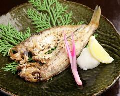 Japanese flounder overnight / Sardine overnight