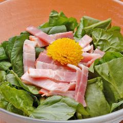 Bacon spinach salad / cold pork shabu salad