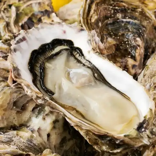 A commitment to traditional flavors and seasonal ingredients, passed down since our founding.