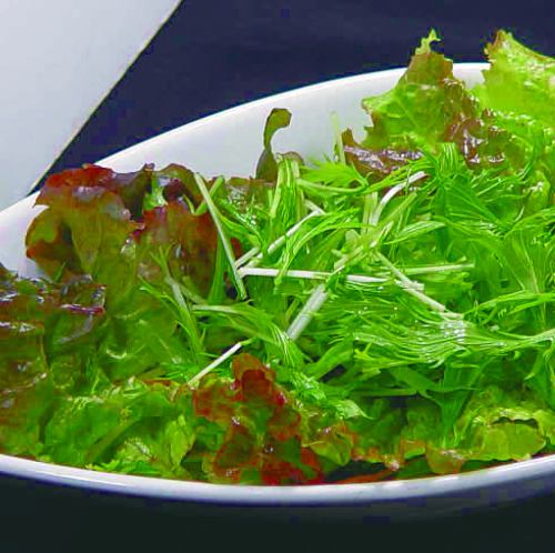 Green salad