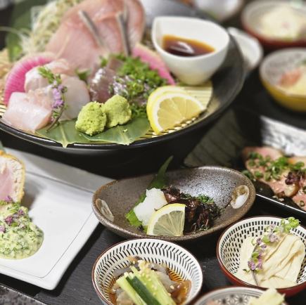 【きまぐれ酒肴コース】お造り・焼物・揚げ物含む＜料理のみ全12品＞8000円(税込)