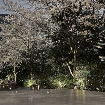 ★ディナーお花見プラン★シュラスコ20種類+ビアサーバー含む飲み放題付き 120分 7,315円(税込)