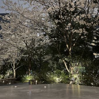 ★ディナーお花見プラン★シュラスコ20種類+ビアサーバー含む飲み放題付き 120分 7,315円(税込)