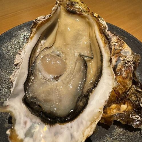 広島県産 殻付牡蠣　1個