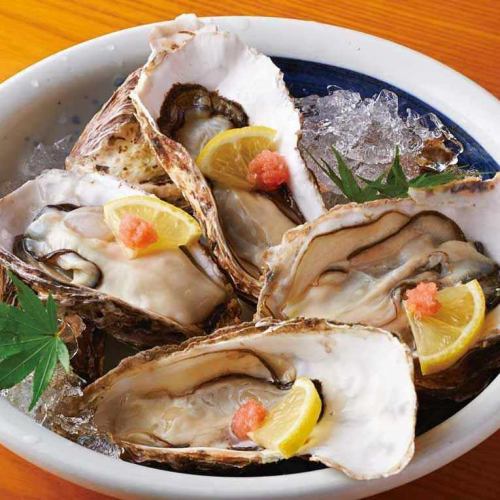 《Direct shipment from Akkeshi》Raw oysters [1 piece]