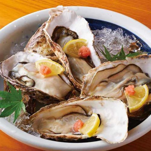 <Direct delivery from Akkeshi> Oyster dishes