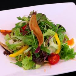 野菜たっぷりガーデンサラダ