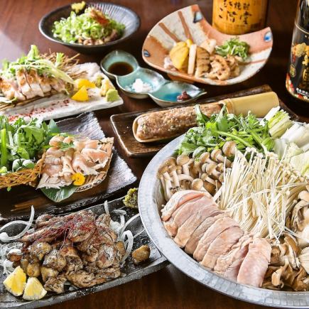 [2 hours of all-you-can-drink!] [Taisho store only] Luxurious Hyuga chicken course, 6 dishes, 5,000 yen (tax included)