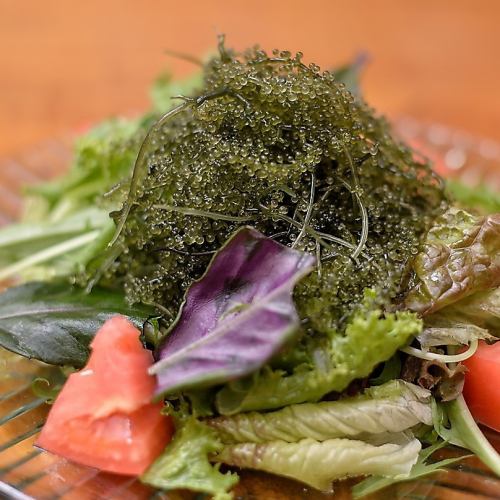 Okinawa sea grape salad