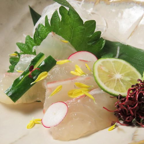 瀬戸内真鯛(まだい)