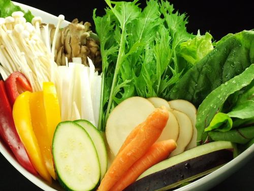 Today's recommended vegetable shabu-shabu platter (for 1 person)