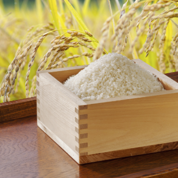 ◆お米にもこだわってご提供!◆