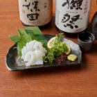 아오이 오카 사시미