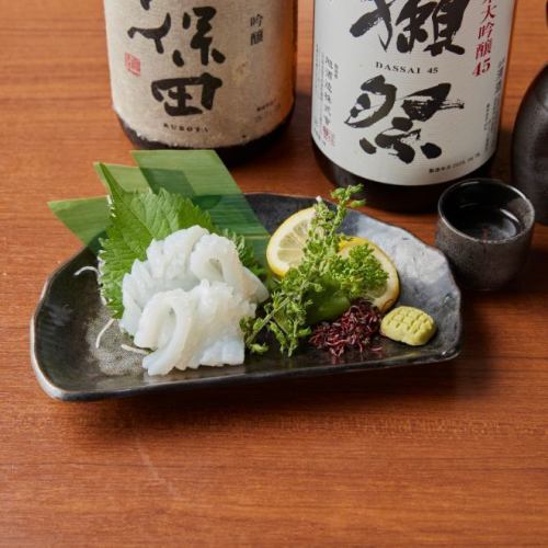 Bigfin reef squid sashimi