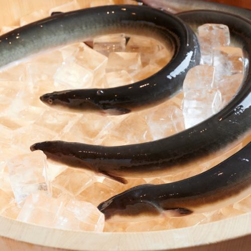 Every morning, live domestic Kagoshima eels are purchased and grilled over charcoal until crispy on the outside and fluffy inside, making for an exquisite dish.