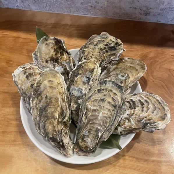 北海道せんぽうし産の特大牡蠣！