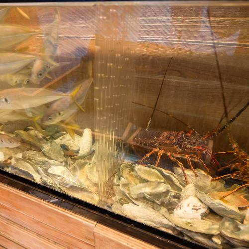 [Luxurious seafood] You will be greeted by the fish in the fish tank♪