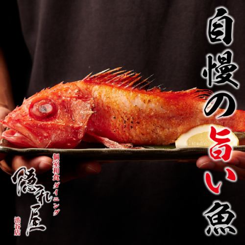 落ち着ける個室空間で旨みと脂を閉じ込めた自慢の焼き魚を堪能。海鮮を中心とした創作メニューを是非!!