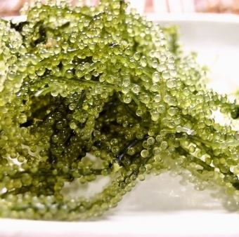 海ぶどう