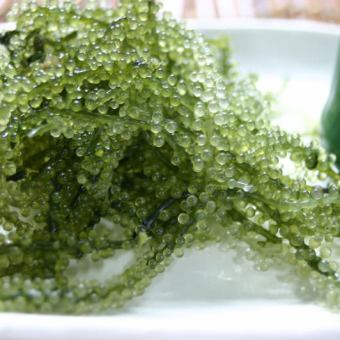 【お料理のみ】ラフテーや海ブドウなど沖縄料理が盛り沢山『メンソーレ沖縄満喫プラン』3,300円