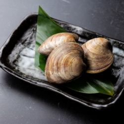 3条真金枪鱼