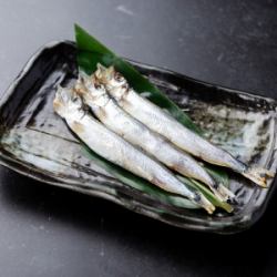 3条柳叶鱼