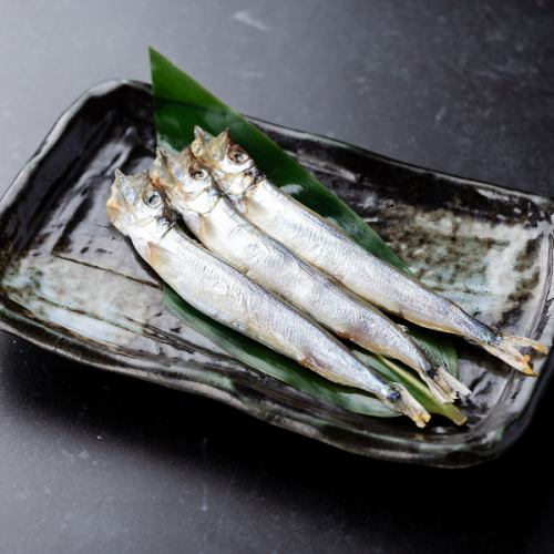 3条柳叶鱼