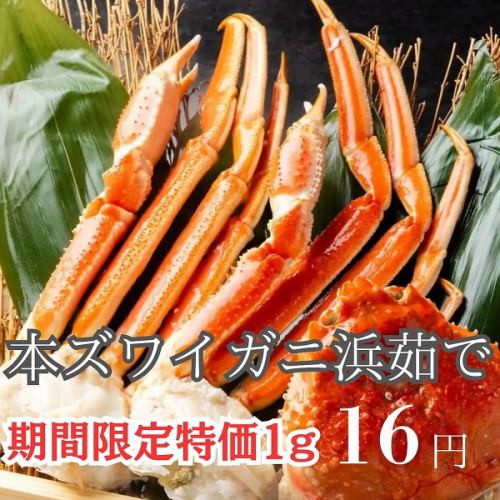 本ズワイ浜茹で限定価格！
