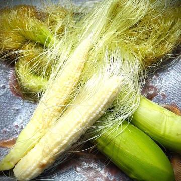 明日、8月25日より
