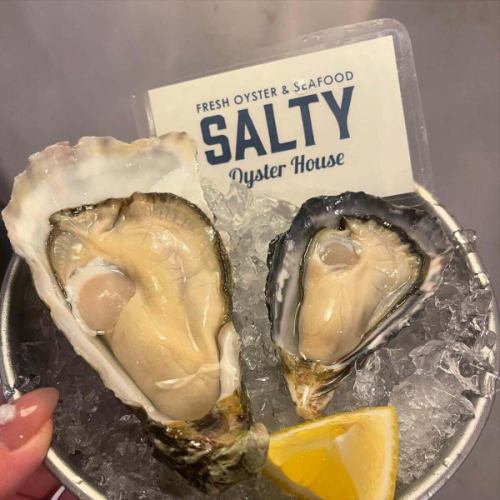 Left: Irish Premium Made in Ireland 🇮🇪
Right: OIO (Oki Island Oyster) from Oki Island, Shimane Prefecture 🇯🇵

Now in stock!
Please come and try it🦪´-

#Tokyo gourmet #Tokyo cafe #Tokyo dinner #Shinkoiwa oysters #Kinshicho gourmet #love #Akihabara dinner #Pasta #Oysters #foodlover #Wine #Raw oysters #likesforlike #Akihabara gourmet #tokyo #Asakusa gourmet #Bistro #Oysters #Shinkoiwa bistro #Chiba gourmet #Tokyo oysters #Ueno gourmet #Shinkoiwa #Shinkoiwa gourmet #food #All-you-can-eat oysters #Daytime drinking #oyster #Gourmet #Daytime oysters #instalike