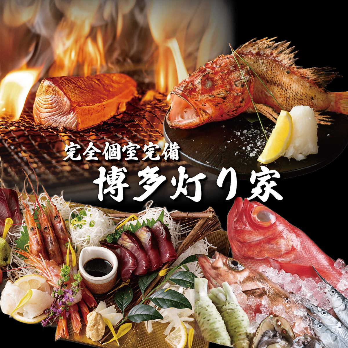 【四ツ谷三丁目駅より徒歩4分】炉端焼き 手羽先唐揚 馬刺し 野菜串 焼酎 日本酒