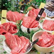 【ランチDコース】ユッケ、タンシチュー、盛合わせなど全10皿＋乾杯ドリンク