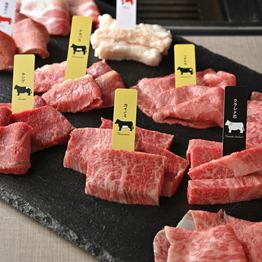 【女子会コース】女子会限定お得なコース！　税込4,800円