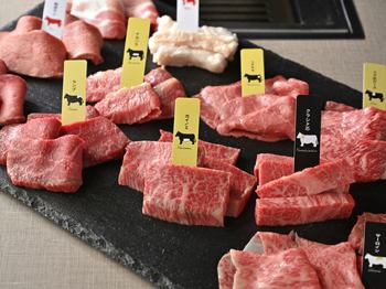 【女子会コース】女子会限定お得なコース！　税込4,800円