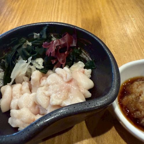 시라코 폰즈
