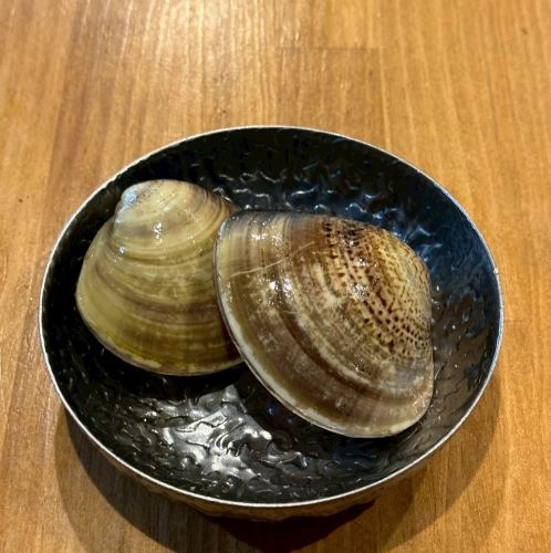 활은 참치 2개
