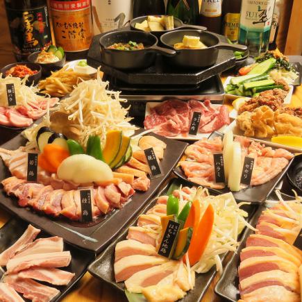 【わんぱく】特別価格!極上地鶏2h食べ飲み放題コース全30品オーダーバイキング4980円